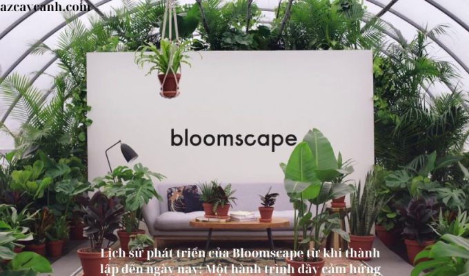 Lịch sử phát triển của Bloomscape từ khi thành lập đến ngày nay: Một hành trình đầy cảm hứng