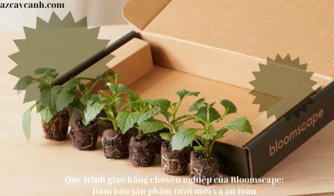 Quy trình giao hàng chuyên nghiệp của Bloomscape: Đảm bảo sản phẩm tươi mới và an toàn