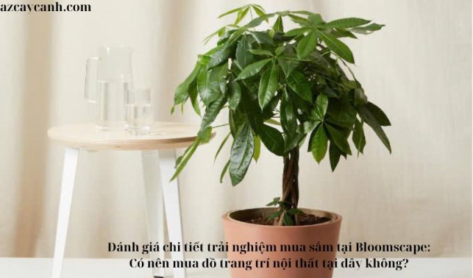 Đánh giá chi tiết trải nghiệm mua sắm tại Bloomscape: Có nên mua đồ trang trí nội thất tại đây không?