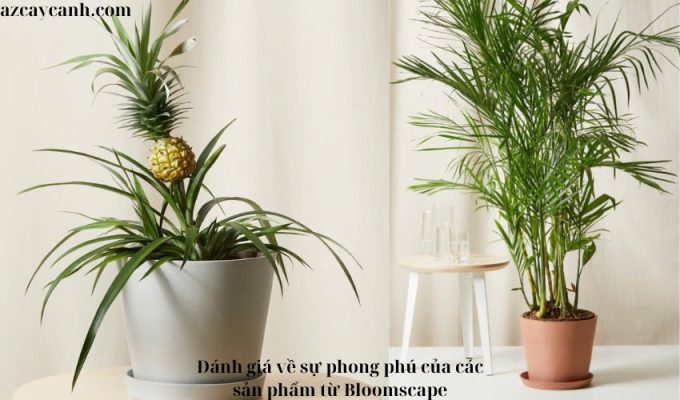 Đánh giá về sự phong phú của các sản phẩm từ Bloomscape