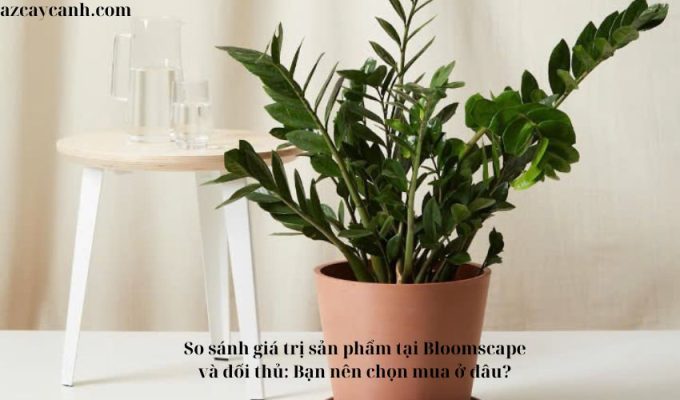 So sánh giá trị sản phẩm tại Bloomscape và đối thủ: Bạn nên chọn mua ở đâu?