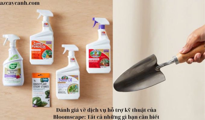 Đánh giá về dịch vụ hỗ trợ kỹ thuật của Bloomscape: Tất cả những gì bạn cần biết