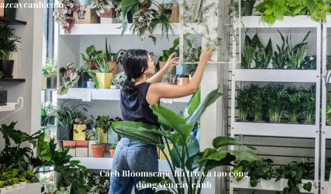 Cách Bloomscape hỗ trợ và tạo cộng đồng yêu cây cảnh