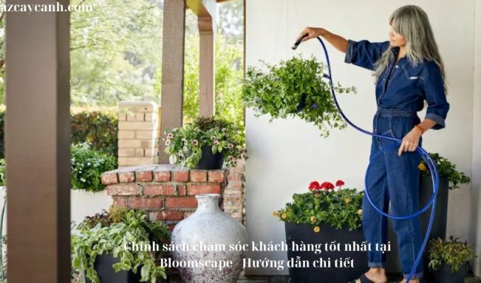 Chính sách chăm sóc khách hàng tốt nhất tại Bloomscape – Hướng dẫn chi tiết