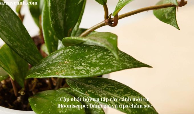 Cập nhật bộ sưu tập cây cảnh mới từ Bloomscape: Đánh giá và tips chăm sóc