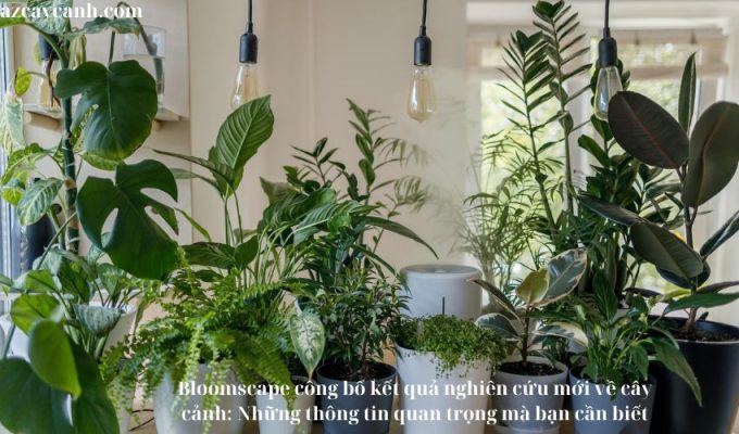 Bloomscape công bố kết quả nghiên cứu mới về cây cảnh: Những thông tin quan trọng mà bạn cần biết