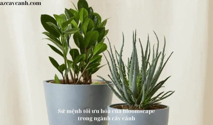 Sứ mệnh tối ưu hóa của Bloomscape trong ngành cây cảnh