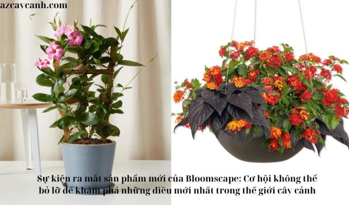 Ưu đãi đặc biệt cho cây cảnh tại Bloomscape: Khám phá ngay!