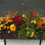 Tips on how to Plant The Excellent Fall Container Backyard
