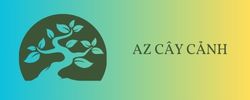 azcaycanh.com