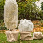 9 Intelligent Methods to Insulate Your Potted Crops in Chilly Climate